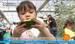 南京小莹娃吃瓜爆料,揭秘娱乐圈幕后真相